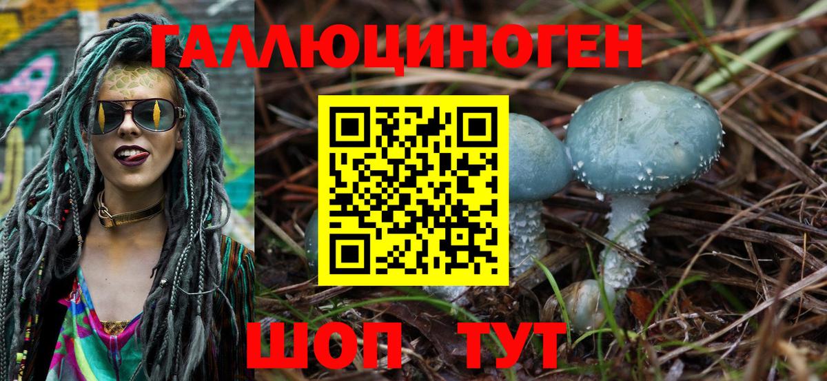 Галлюциногенные грибы GOLDEN TEACHER  Псилоцибиновые грибы Magic Shrooms  Обнинск  Вход с VPN 